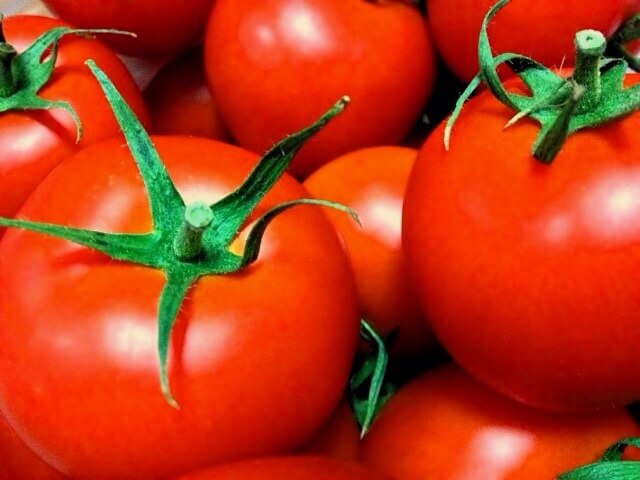 tomato_rikiishi