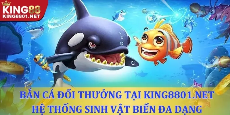Hệ thống sinh vật biển đa dạng